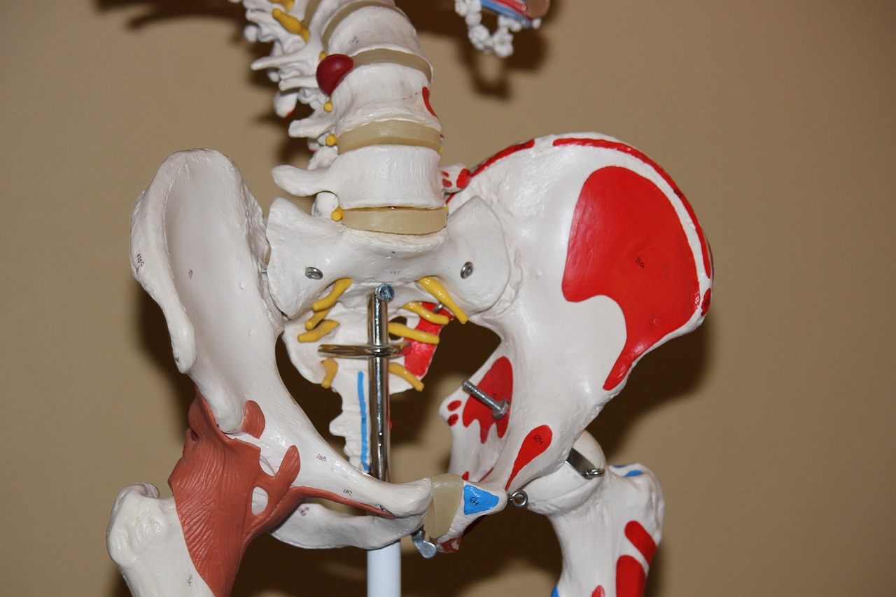 Quel type de traitement est généralement nécessaire pour une tendino-bursite à la hanche ?